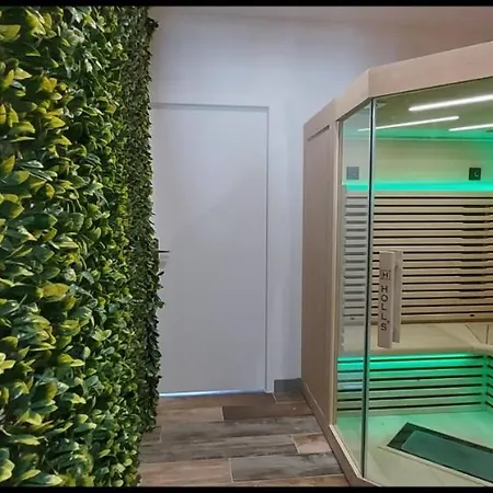 Villa Splendide Avec Piscine, Sauna, Jacuzzi Cookini Pres D'ajaccio *