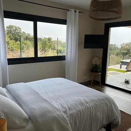 Splendide Avec Piscine, Sauna, Jacuzzi Cookini Pres D'ajaccio Villa